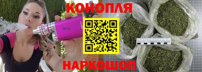 ПСИЛОЦИБИНОВЫЕ ГРИБЫ Новозыбков