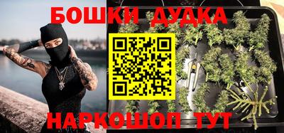 ПСИЛОЦИБИНОВЫЕ ГРИБЫ Новозыбков