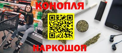 гашик Новокубанск