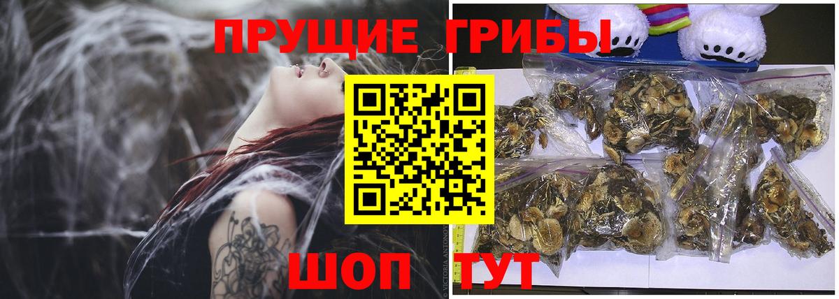 Галлюциногенные грибы GOLDEN TEACHER Удомля