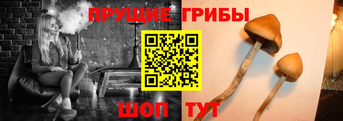 Галлюциногенные грибы GOLDEN TEACHER  Вход с VPN  закладка  Удомля 